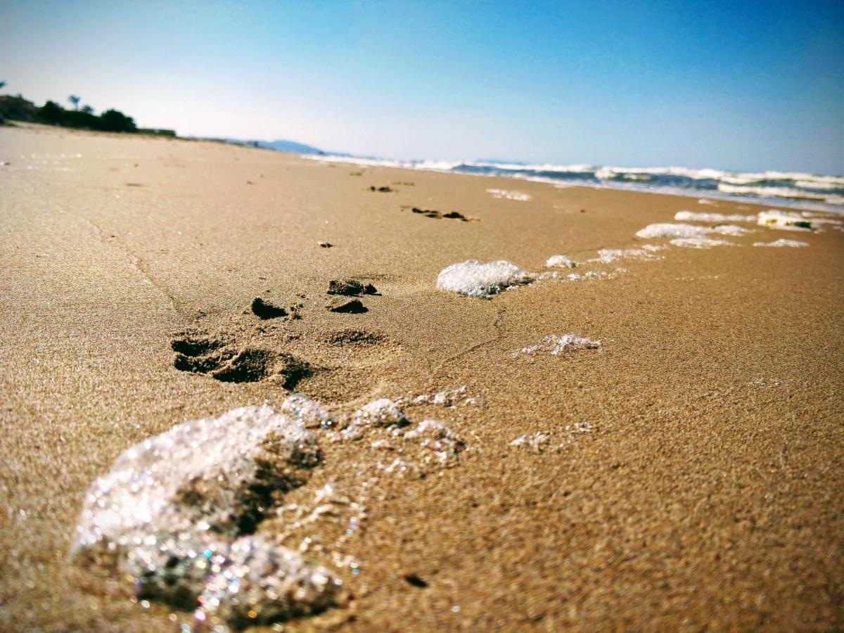 Hello Piles Beach Javier Exterior foto